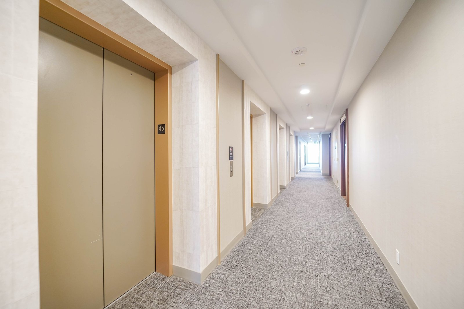 N12554496-4-db8c5c9c-4562-4012-a6cb-0d9398e60765